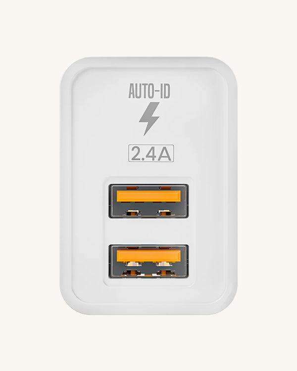 Ronin Encore Charger